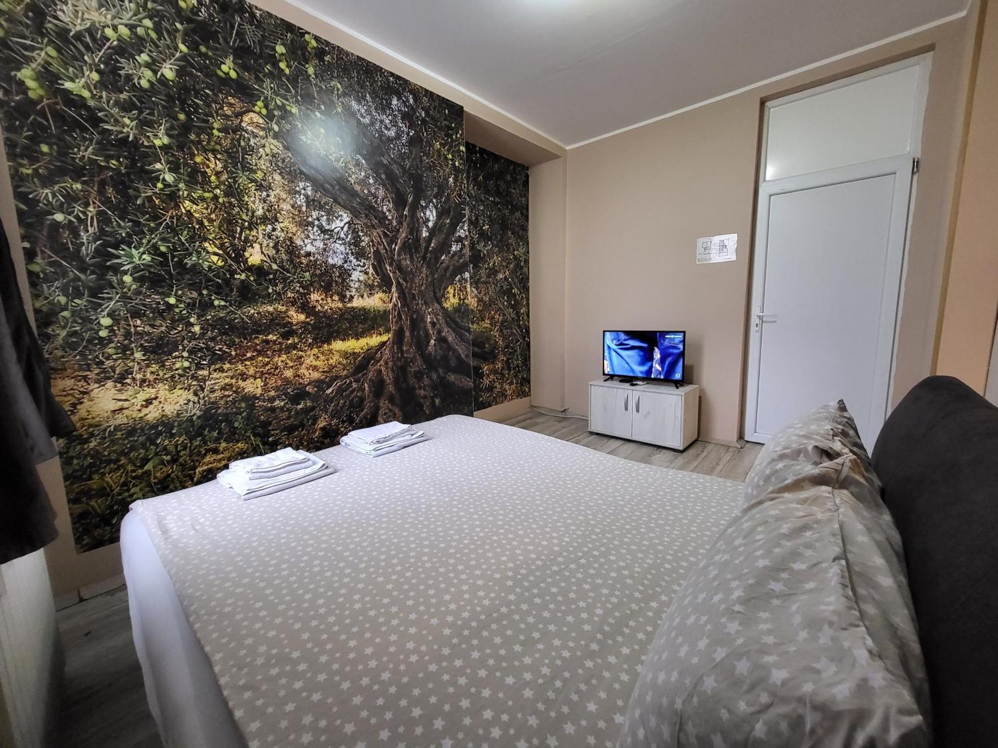 Hostel Fine Belgrad Oda fotoğraf
